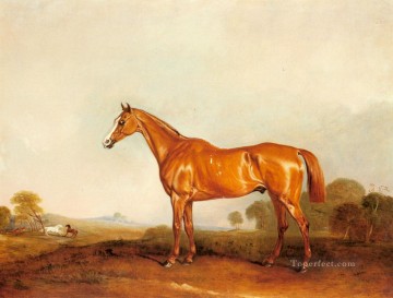 Un chasseur de châtaigne d’or dans un cheval de paysage John Ferneley Snr Peinture à l'huile
